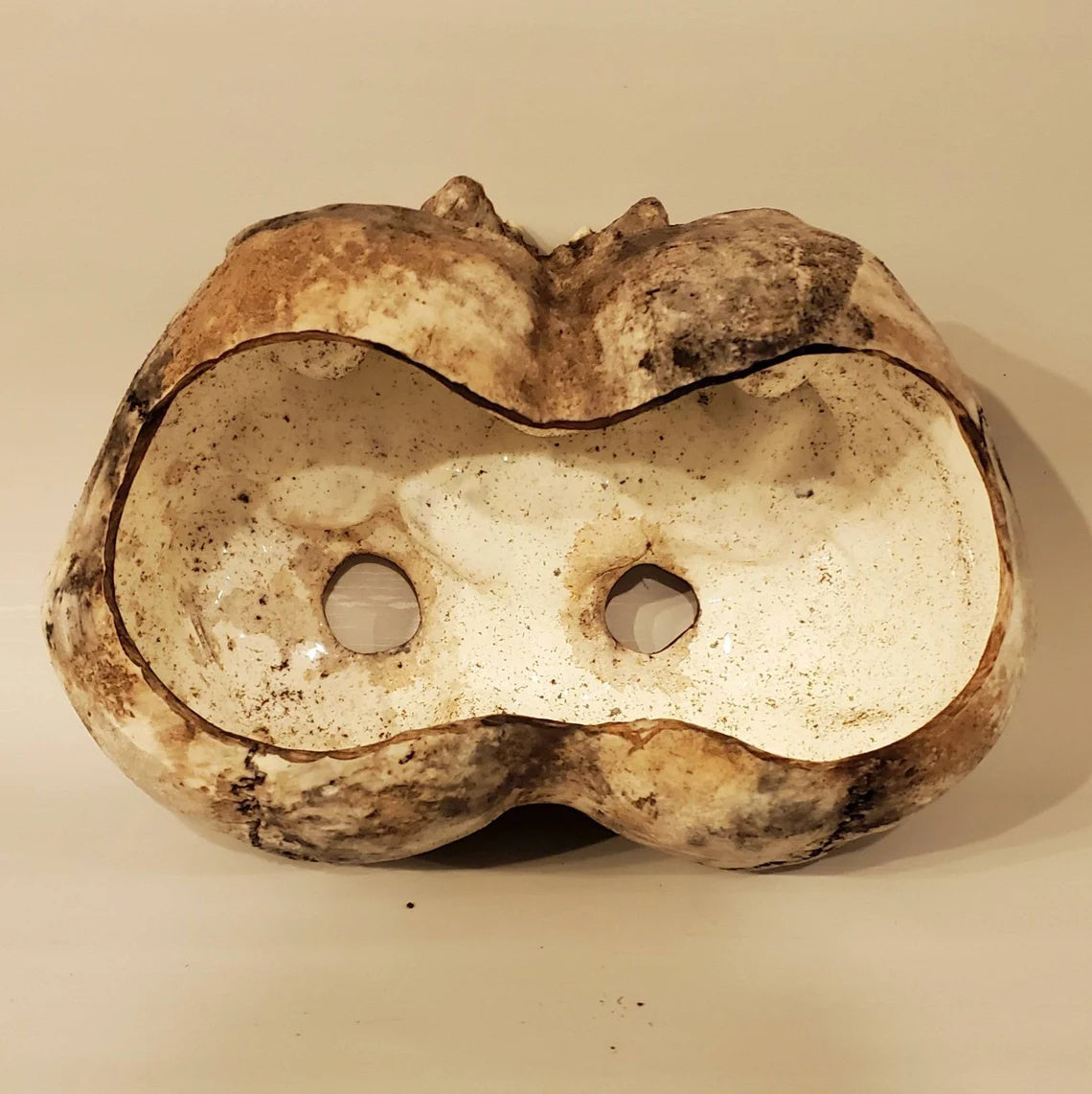 Conjoined Twins Human Skull Sculpture or Planter
