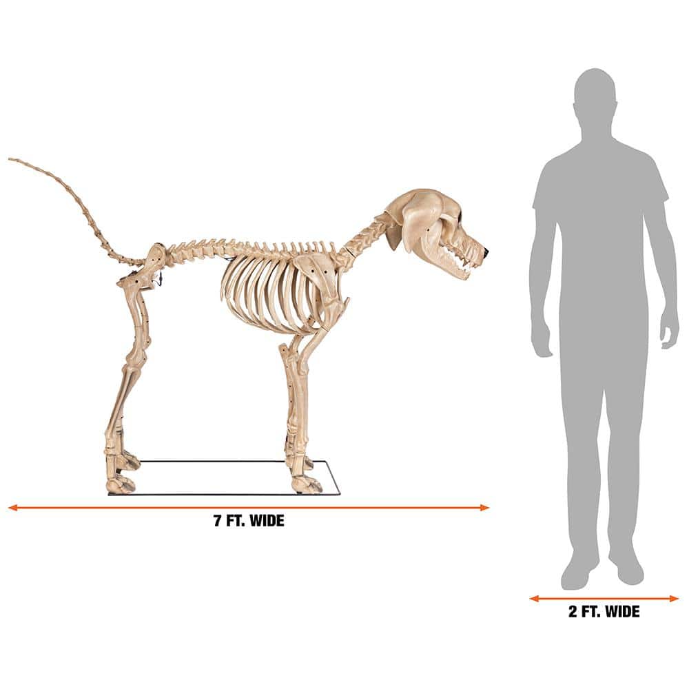 7 ft. Skelly's Dog