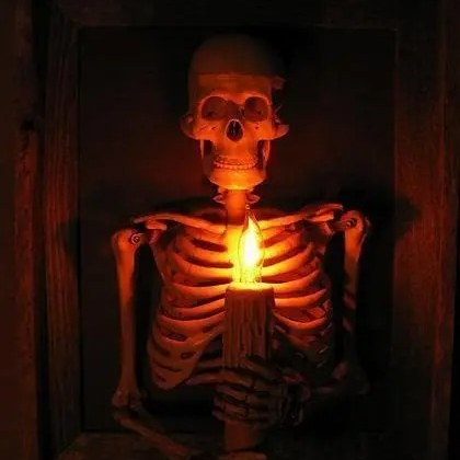 🔥LAST DAY 75% OFF☠️Haunted house skull halloween decoration