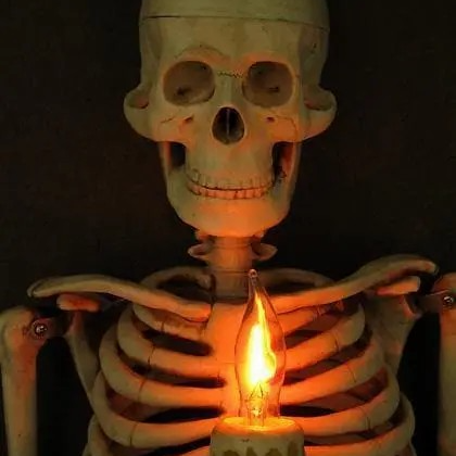 🔥LAST DAY 75% OFF☠️Haunted house skull halloween decoration