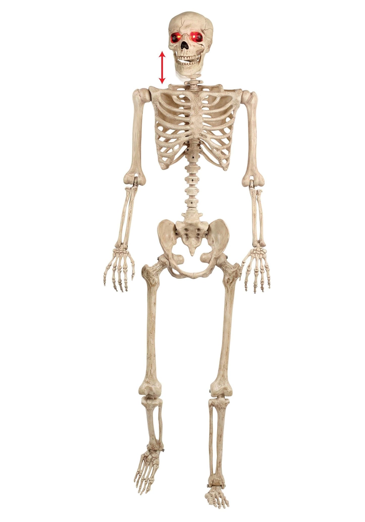 Mr. Crazy Bonez Animated Skeleton Prop