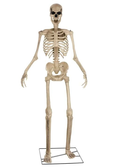 π Last Day For Clearance,β¨12ft skeleton