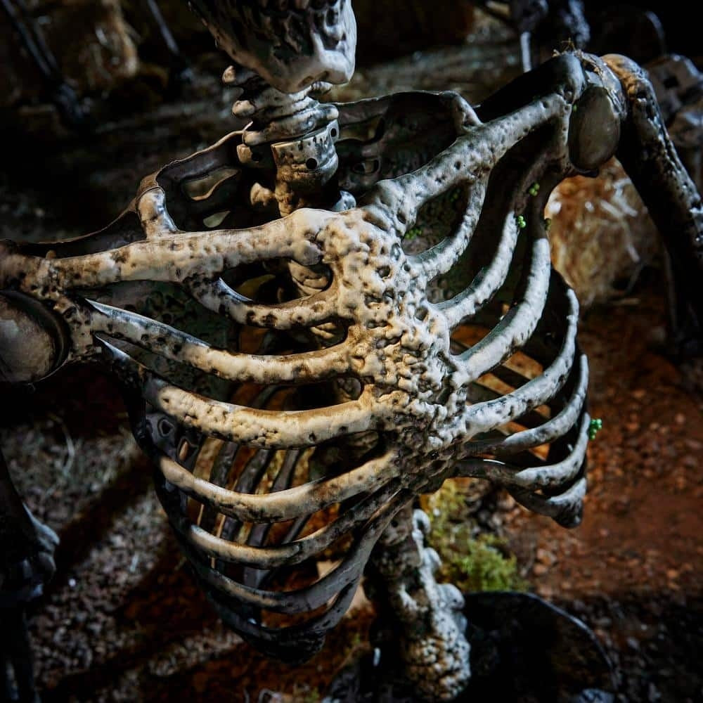 💝 Buy 1 Get 5 FREE! ✨Poseable Pitted Skeleton with LED Eyes (6-Pack)